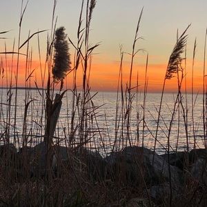 Meet your Posher, Marci